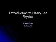 Introduction to Heavy Ion Physics