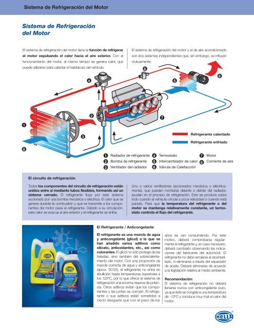 Archivo 1 - B2B