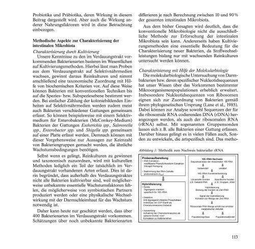 BroschÃ¼re 2004 zum Download (pdf | 1994,28 KB) - H. Wilhelm ...