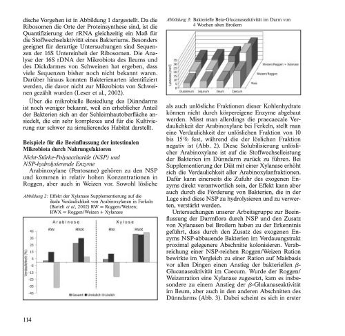 BroschÃ¼re 2004 zum Download (pdf | 1994,28 KB) - H. Wilhelm ...