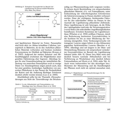 BroschÃ¼re 2004 zum Download (pdf | 1994,28 KB) - H. Wilhelm ...