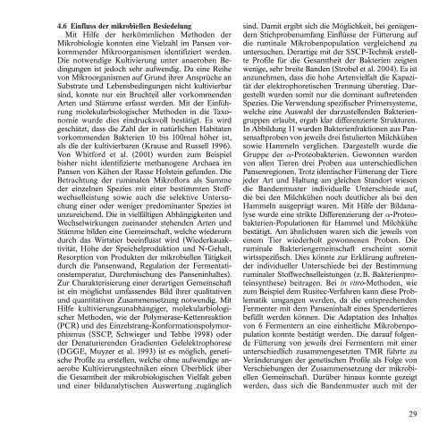 BroschÃ¼re 2004 zum Download (pdf | 1994,28 KB) - H. Wilhelm ...