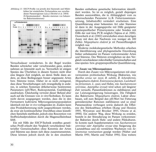 BroschÃ¼re 2004 zum Download (pdf | 1994,28 KB) - H. Wilhelm ...