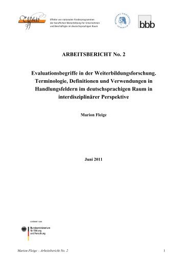 ARBEITSBERICHT No. 2 Evaluationsbegriffe in der - Effekte-projekt.de