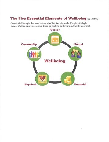 The Five Essential Elements of Wellbeing by Gallup - Career Planning