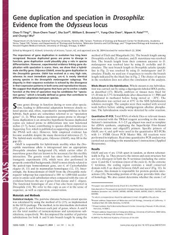 Gene duplication and speciation in Drosophila ... - Patel Lab.