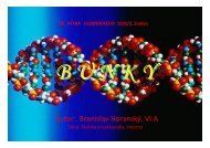 bunky