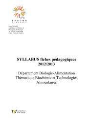 SYLLABUS fiches pédagogiques 2012/2013 - enscbp