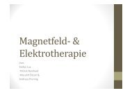 Magnetfeld- & Elektrotherapie - Realschule-Beilngries.de