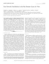 Fast Network Oscillations in the Rat Dentate Gyrus In Vitro