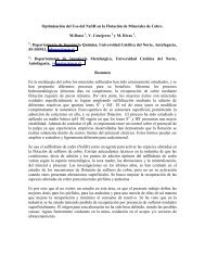 Optimización del uso del NaSH en la flotación de minerales de cobre.