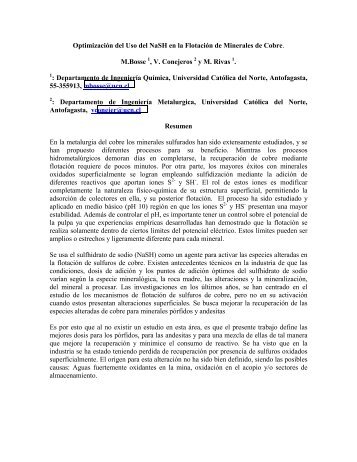 Optimización del uso del NaSH en la flotación de minerales de cobre.