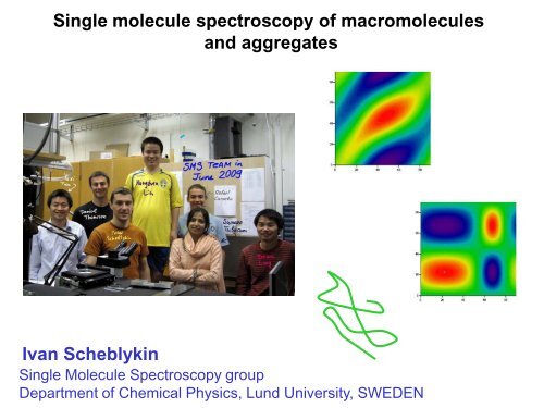 Single molecule spectroscopy of macromolecules and aggregates ...