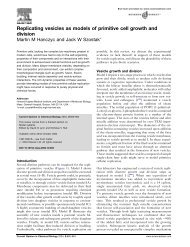 Replicating vesicles as models of primitive cell growth and division