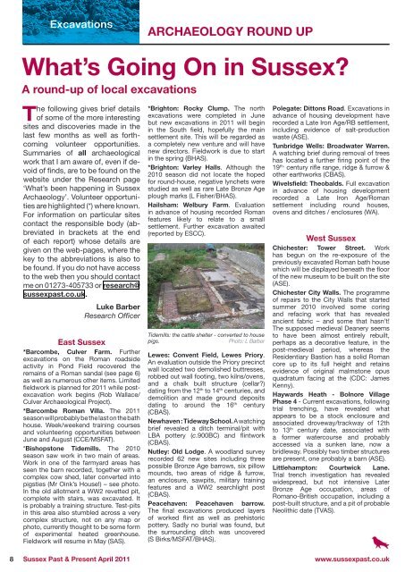 April 2011 (issue 123) - The Sussex Archaeological Society