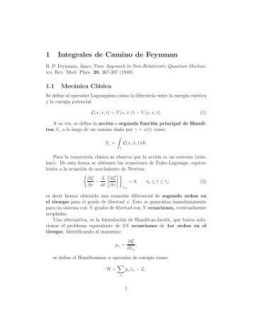 1 Integrales de Camino de Feynman