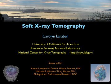 Soft X-ray Tomography - NSRRC User Portal