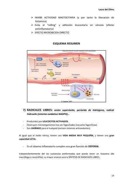 6. INFLAMACION AGUDA.pdf - VeoApuntes.com