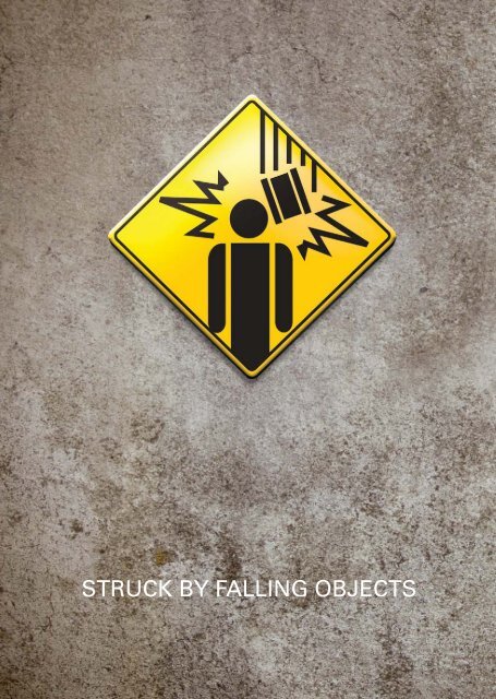 STRUCK BY FALLING OBJECTS