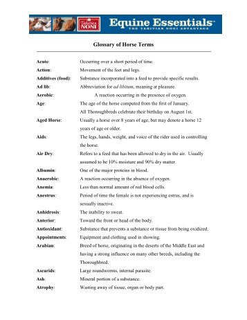 Glossary of Horse Terms