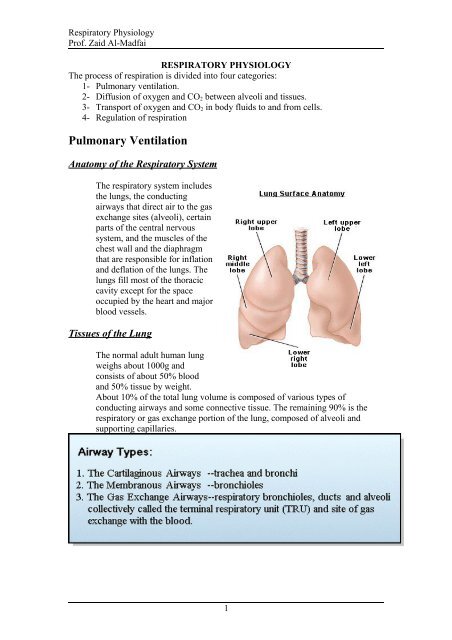 Is residual volume a synonym for dead space volume? If not, then