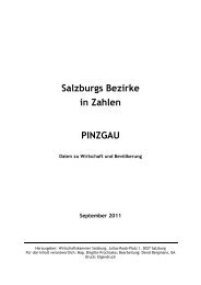 Salzburgs Bezirke - Wirtschaftskammer Salzburg