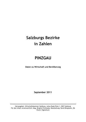 Salzburgs Bezirke - Wirtschaftskammer Salzburg