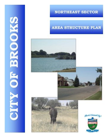 Northeast Sector Area Structure Plan - City of Brooks