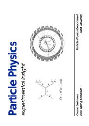 Complete lecture notes of spring 2002 - Particle Physics