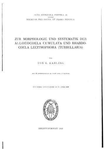 zur morphologie und systematii( deh alloeocoela ... - Macrostomorpha