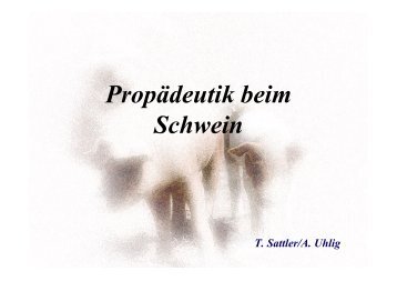 PropÃ¤deutik beim Schwein