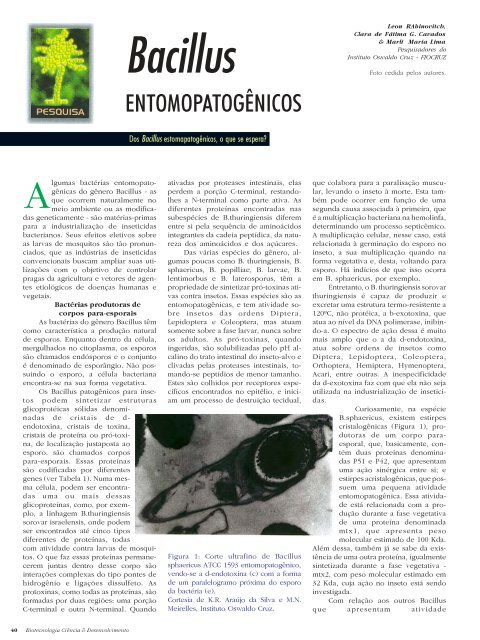 Revista Biotecnologia