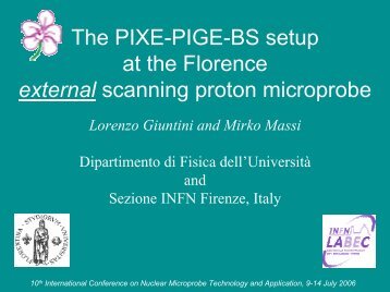 The PIXE-PIGE-BS setup at the Florence external scanning ... - Infn