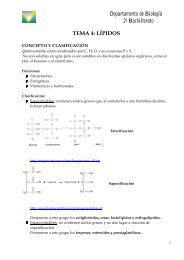 tema 4. los lipidos - BiologÃ­a El Valle