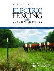 Electric Fencing for Serious Graziers - NRCS Home - US ...