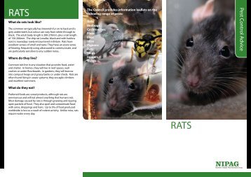 RATS RATS - Carrickfergus Borough Council