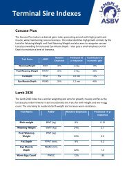 Terminal Sire Indexes - Sheep Genetics