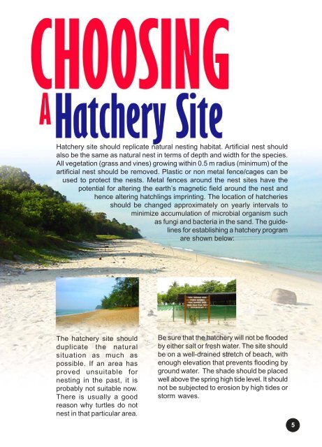 Sea Turtle Hatchery - seafdec.org.my