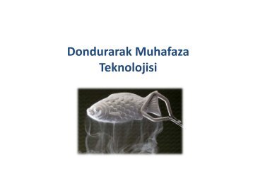 Dondurarak Muhafaza Teknolojisi