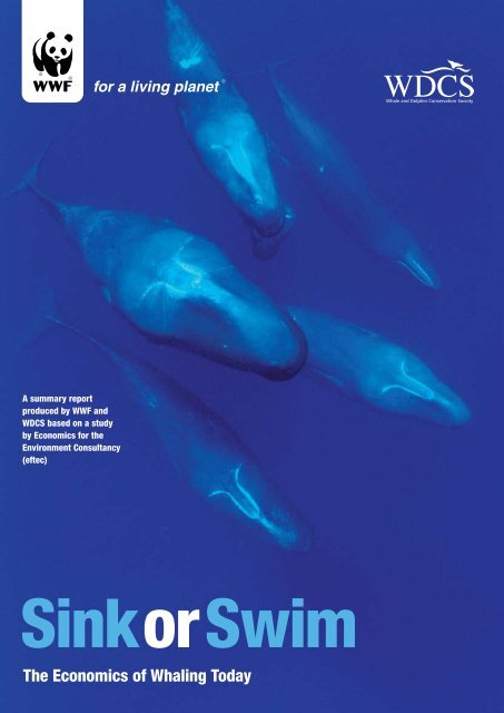 The Economics of Whaling Today - WWF