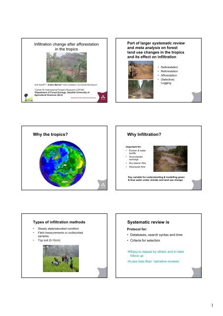 The effect of afforestation on water infiltration in the tropics, as ...