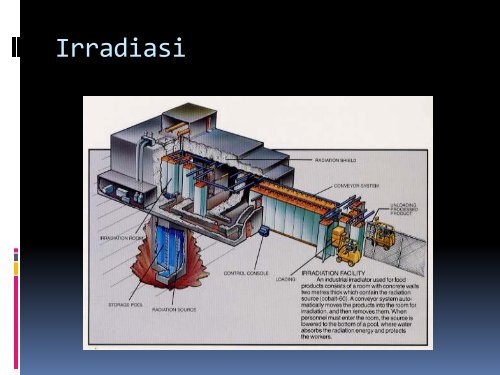 iradiasi pangan dan pemanasan dengan âmicrowaveâ - Blogs Unpad