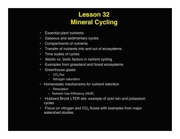 Lesson 32 Mineral Cycling - Alaska Geobotany Center