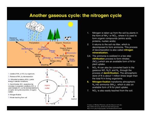 Lesson 32 Mineral Cycling - Alaska Geobotany Center