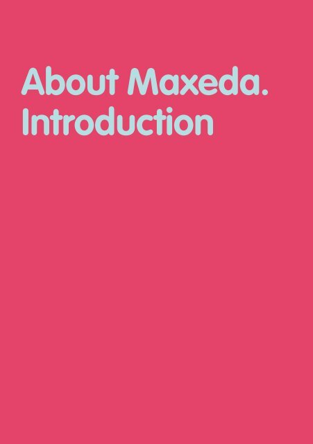 Maxeda 2009 Annual Review - Permira