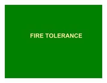 Fire Tolerance of Vetiver Grass