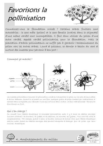 Favorisons la pollinisation