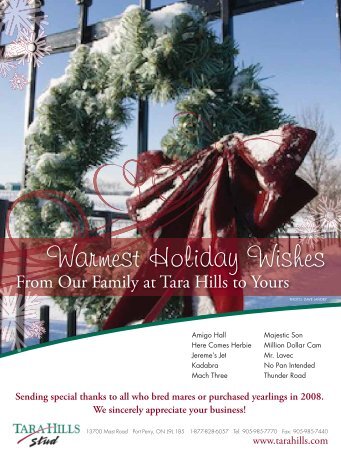 Warmest Holiday Wishes - Tara Hills Stud