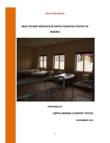 Read the complete assessment report - UNFPA Nigeria