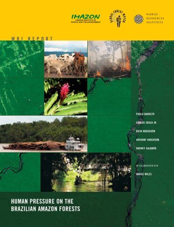 Human Pressure on the Brazilian Amazon Forests - Biblioteca ...